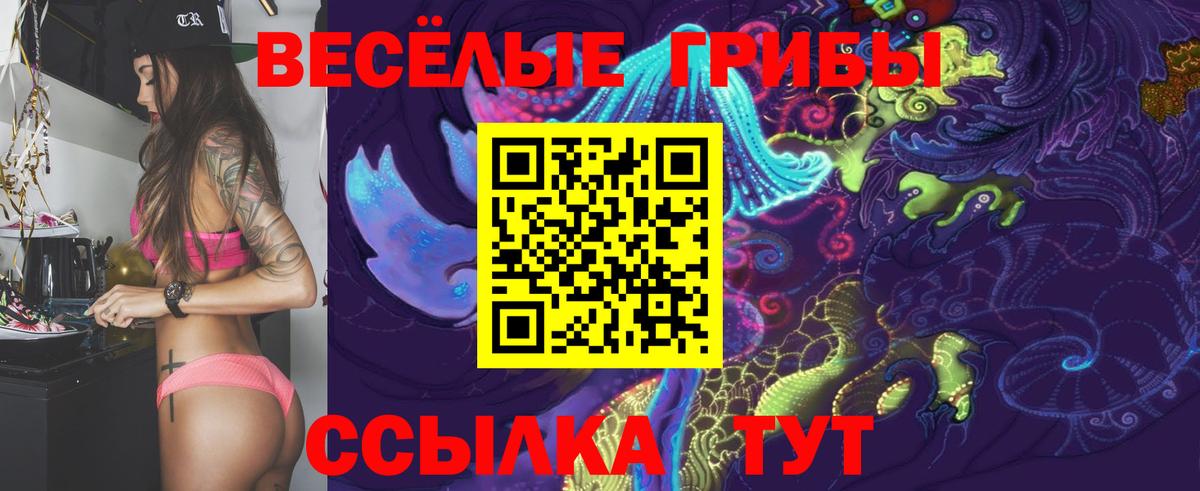 где продают   Вход с VPN  Ипатово  Псилоцибиновые грибы прущие грибы 